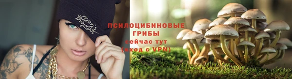 каннабис Алзамай