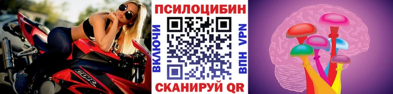 Псилоцибиновые грибы мухоморы  закладки  Алушта 